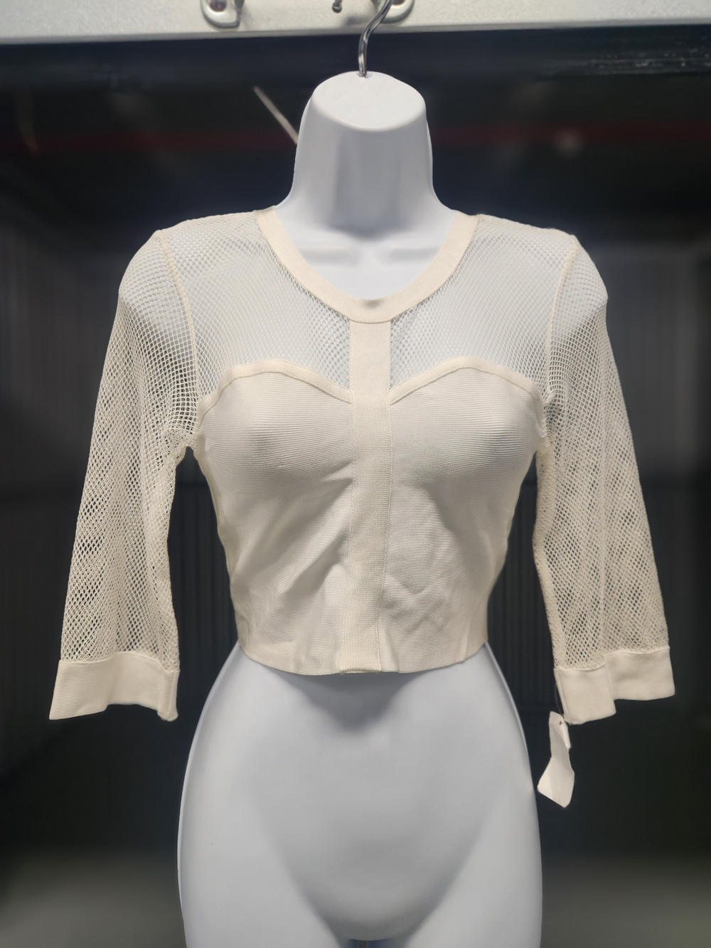 Cream Mesh Sleeve Cropped Long-Sleeve Top